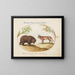 A bear and a lynx - Joris Hoefnagel — framed artwork on a wall