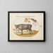 a Bull and a Horned Animal - Joris Hoefnagel — framed artwork on a wall