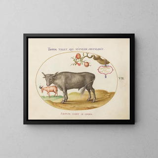 a Bull and a Horned Animal - Joris Hoefnagel — framed artwork on a wall