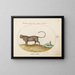 a cheetah and a wild sheep - Joris Hoefnagel — framed artwork on a wall