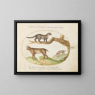 a civet, a lynx, and a hyena eating a dog - Joris Hoefnagel — framed artwork on a wall