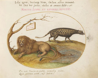 a lion and a civet - Joris Hoefnagel — artwork view