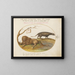 a lion and a civet - Joris Hoefnagel — framed artwork on a wall