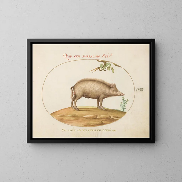 a pig with acorns - Joris Hoefnagel — framed artwork on a wall