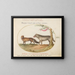 A red fox and a wolf - Joris Hoefnagel — framed artwork on a wall