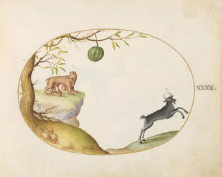 a opossum simivulpa and an ibex - Joris Hoefnagel — artwork view