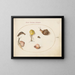 a slug with snails - Joris Hoefnagel — framed artwork on a wall