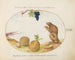 a Barbary macaque tartarin with a fruit and a snail - Joris Hoefnagel — artwork view