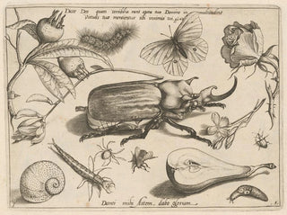 Archetypes and studies of Father Georgius Hoefnagel - Joris Hoefnagel — artwork view