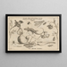 Archetypa studiaque patris Georgii Hoefnagelii Pl03 - Joris Hoefnagel — framed artwork on a wall