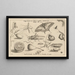 Archetypa studiaque patris Georgii Hoefnagelii Pl04 - Joris Hoefnagel — framed artwork on a wall
