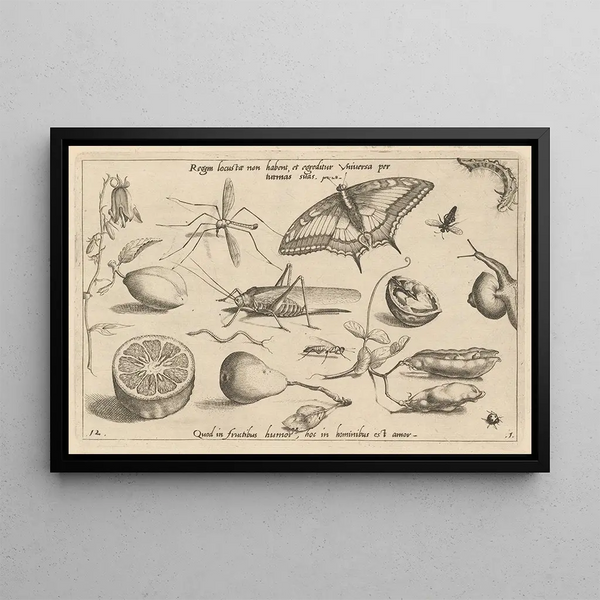 Archetypa studiaque patris Georgii Hoefnagelii Pl04 - Joris Hoefnagel — framed artwork on a wall