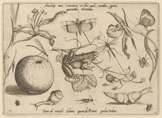 Archetypes and studies of Father Georgius Hoefnagel - Joris Hoefnagel — artwork view