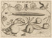 Archetypes and Studies of Father Georgius Hoefnagel Pl11 - Joris Hoefnagel — artwork view