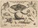Archetypes and studies of Father Georgius Hoefnagel - Joris Hoefnagel — artwork view