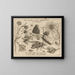Archetypes and studies of Father Georgius Hoefnagel Pl15 - Joris Hoefnagel — framed artwork on a wall
