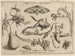 Archetypes and studies of Father Georgius Hoefnagelius Pl20 - Joris Hoefnagel — artwork view