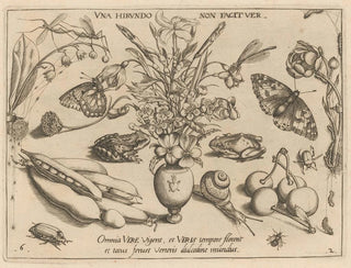 Archétypes et études du père Georgius Hoefnagel - Joris Hoefnagel — artwork view