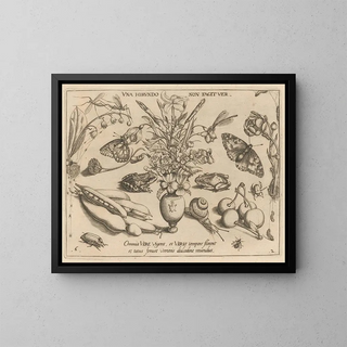 Archétypes et études du père Georgius Hoefnagel - Joris Hoefnagel — framed artwork on a wall