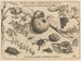 Archetypes and studies of Father Georgius Hoefnagel - Joris Hoefnagel — artwork view