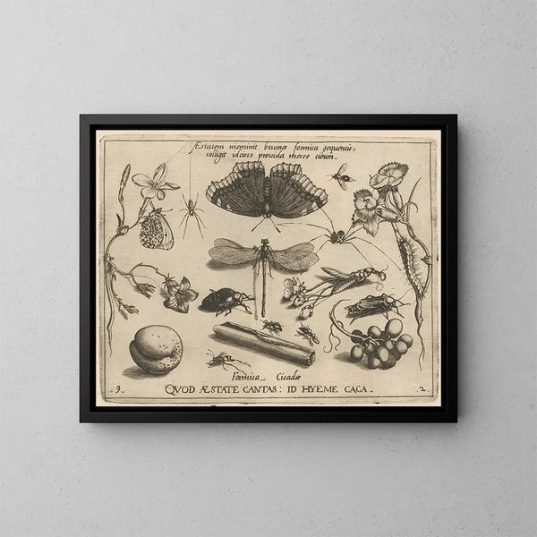 Archétypes et études du père Georgius Hoefnagel Pl24 - Joris Hoefnagel — framed artwork on a wall