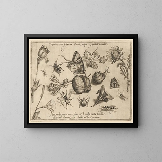 Archétypes et études du père Georgius Hoefnagel Pl28 - Joris Hoefnagel — framed artwork on a wall