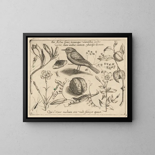 Archétypes et études du père Georgius Hoefnagel Pl41 - Joris Hoefnagel — framed artwork on a wall