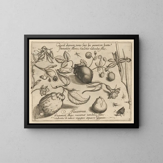 Archétypes et études du père Georgius Hoefnagel Pl43 - Joris Hoefnagel — framed artwork on a wall
