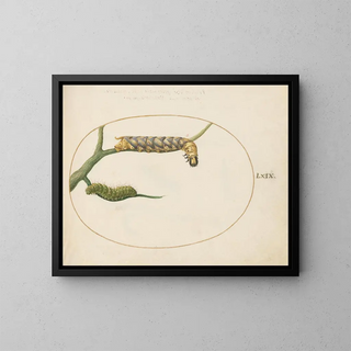 Butterfly Emperor Caterpillar Painting with a Second Caterpillar on a Branch - Joris Hoefnagel — framed artwork on a wall