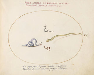 Quatre petits serpents - Joris Hoefnagel — artwork view