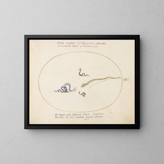 Quatre petits serpents - Joris Hoefnagel — framed artwork on a wall