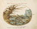 Frogs, lizards and salamanders in a landscape - Joris Hoefnagel — artwork view