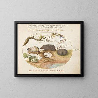 Guinea pig and hedgehogs with melon and hazelnuts - Joris Hoefnagel — framed artwork on a wall