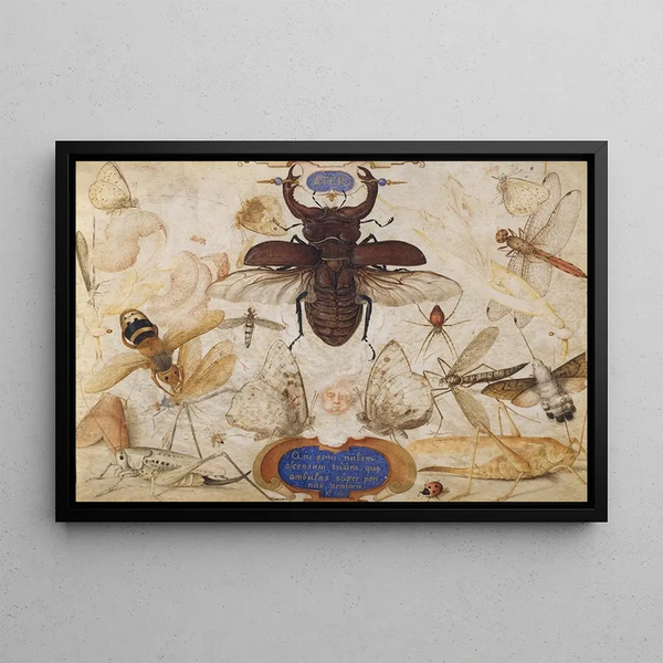 Insectes et tête d'un dieu du vent - Joris Hoefnagel — framed artwork on a wall