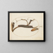 Euphorbia Moth Caterpillar, Grey Dagger Caterpillar and Pupae - Joris Hoefnagel — framed artwork on a wall