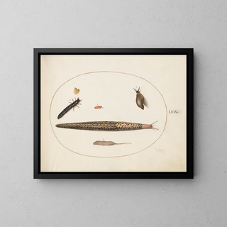 Leopard slug, ground beetle, larva and maggot with tail, and other creatures - Joris Hoefnagel — framed artwork on a wall