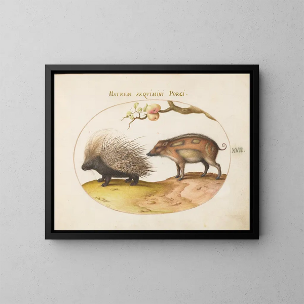 Porcupine of the Old World and Wild Boar - Joris Hoefnagel — framed artwork on a wall