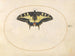 Planche 07 Papillon queue de swallowtail - Joris Hoefnagel — artwork view