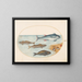 Planche 11 Quatre poissons et coquillages - Joris Hoefnagel — framed artwork on a wall