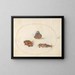 Planche 11 of butterflies, small turtle, and red admiral with a taupe cricket - Joris Hoefnagel — framed artwork on a wall