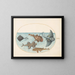 Plate 13 Two rays, a lanternfish, a monkfish, and an angel shark - Joris Hoefnagel — framed artwork on a wall