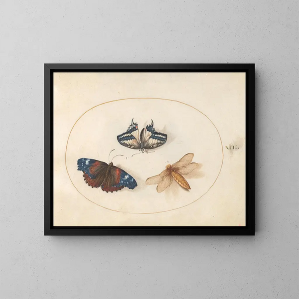 Plaque 13: Yellow swallowtail and red admiral butterflies with a hunting dragonfly with a broad body - Joris Hoefnagel — framed artwork on a wall