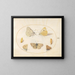 Planche 16: Papillons noir veiné, jaune nuageux, noir à queue, argus géranium et bleu commun avec deux chrysalides - Joris Hoefnagel — framed artwork on a wall