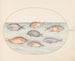 Planche 20: Dorade, Denti, Sargo et autres poissons - Joris Hoefnagel — artwork view