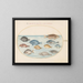 Planche 23: Dorade et autres poissons - Joris Hoefnagel — framed artwork on a wall