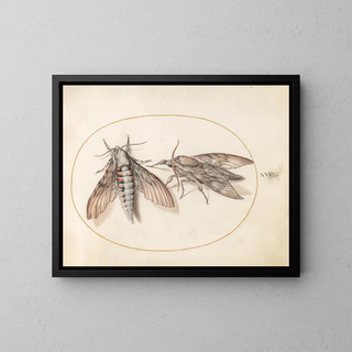 Platine Painting 26 Two Sphinxes - Joris Hoefnagel — framed artwork on a wall