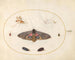 Platine Painting 27 A Sphinx with Eyes, Two Chrysalises, and Other Insects - Joris Hoefnagel — artwork view