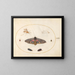 Platine Painting 27 A Sphinx with Eyes, Two Chrysalises, and Other Insects - Joris Hoefnagel — framed artwork on a wall