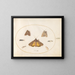 Planche 28 Eight moths, including a large Yellow Noctuid and a Gray Dagger - Joris Hoefnagel — framed artwork on a wall