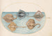 Planche 29, raie homelyn et quatre autres raies ou raies - Joris Hoefnagel — artwork view
